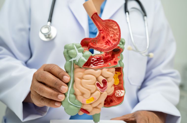 The Role of Food in Digestive Relief